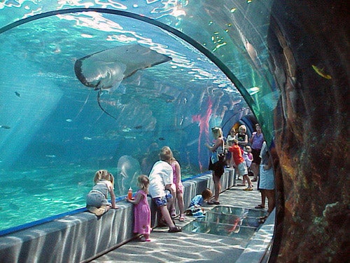 Maui Ocean Center- The Hawaiian Aquarium in Wailuku, Maui,, Hawaii