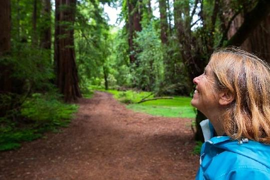 A blonde woman in a blue jacket smiling and looking up at giant Redwoods with a dirt path going into the trees in the background.