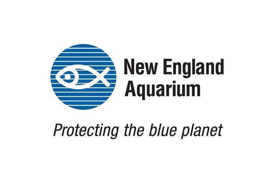 New England Aquarium Whale Watch Cruise