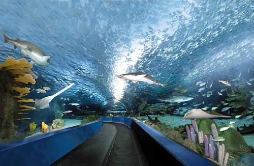 Ripley's Aquarium in Myrtle Beach, South Carolina