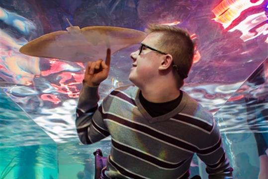 Exploring touch tanks at SeaQuest.