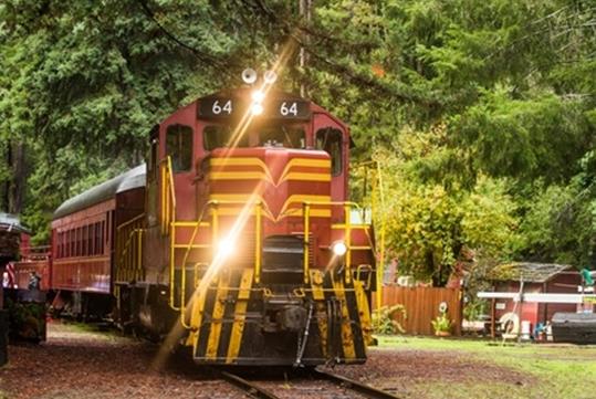 A train with a red engine car with 64 on the top of it with its lights on in the forest with Skunk Train in San Francisco, California, USA.