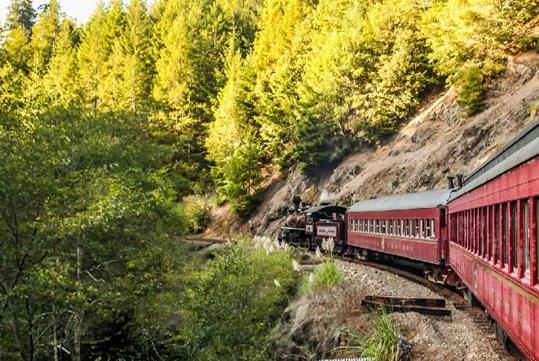 A red train driving through a thick forest with the sun setting over it with Skunk Train in San Francisco, California, USA.