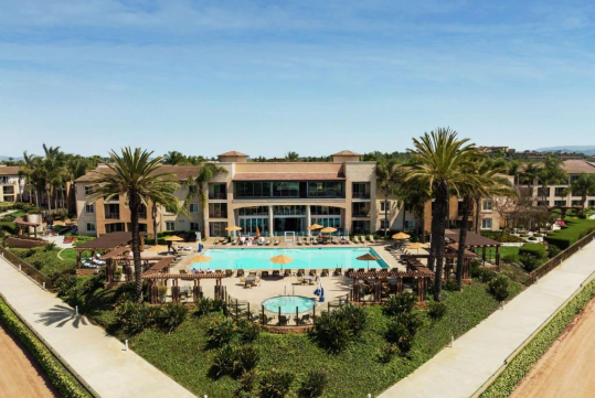 Aerial view of The Cassara Carlsbad, its outdoor pool area and hot tub, surrounded by tall palm trees.