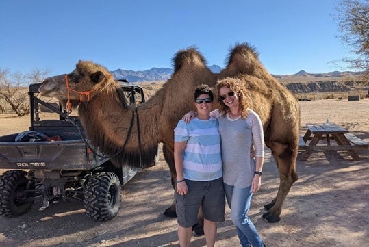 Las Vegas Guided UTV Safari Ride with Camel Encounter