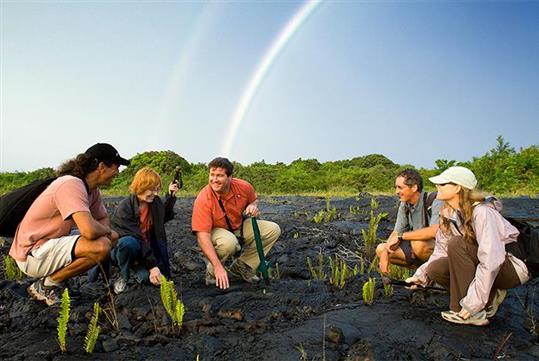 Enjoy a hike through Volcanoes National Park selected for you daily based on best conditions, by your guide