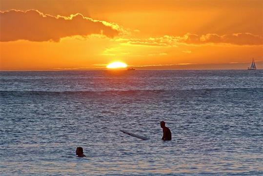 "Sunset Glow" Waikiki Tour- Discover Waikiki's beauty, history, and unique culture on the best tour of Waikiki at sunset!