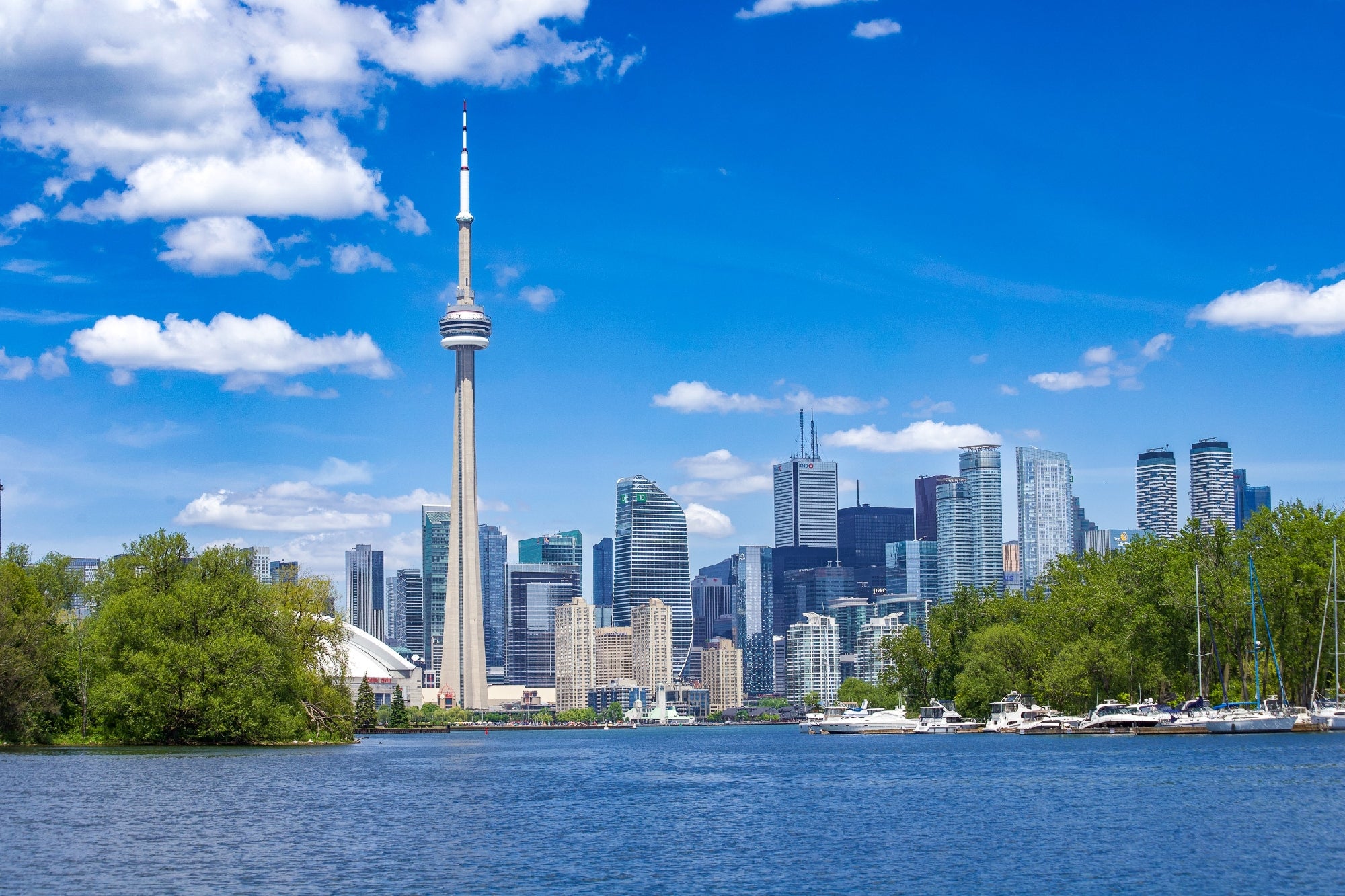 Toronto skyline with the CN Tower and modern skyscrapers viewed from across the water, with trees and boats in the foreground under a blue sky.