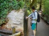 A man touching one of the redwoods on the 3-in-1: Muir Woods, Sausalito & Half Day in Wine Country, San Francisco California, USA.