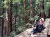 A couple looking at the redwoods on the 3-in-1: Muir Woods, Sausalito & Half Day in Wine Country, San Francisco California, USA.