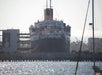45 Minute Harbor Cruise in Long Beach, CA