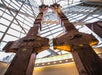 9/11 Memorial & Museum in New York, NY