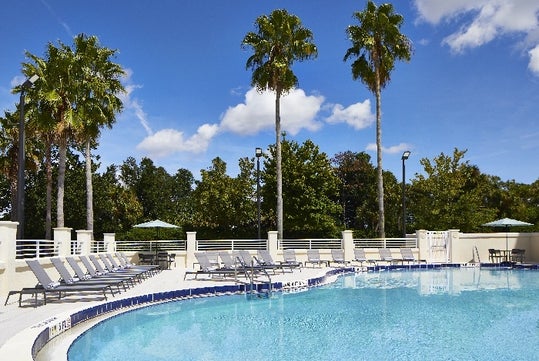Outdoor swimming pool with loungers arranged around the deck and tall palm trees in the background under a blue sky.