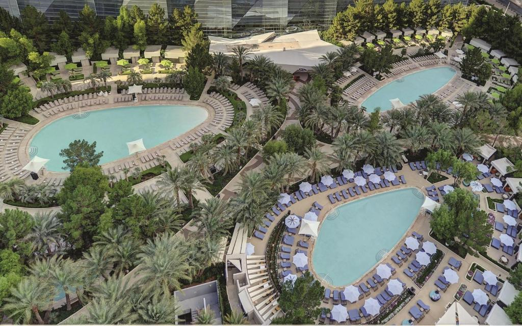 Three outdoor pools surrounded by palm trees at ARIA Las Vegas.