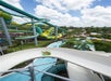 Calypso Coaster  - Adventure Island Tampa water park in Tampa, FL
