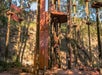 A wooden adventure course with platforms, stairs, and elevated walkways stands among tall trees in an outdoor setting.