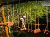 A person wearing safety gear crosses a suspended bridge at Coral Crater Adventure Park, surrounded by trees and sunlight.