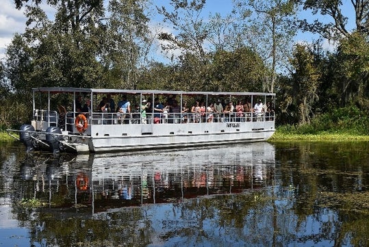 Adventures of Jean Lafitte Swamp Tour in Lafitte, LA