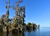 Adventures of Jean Lafitte Swamp Tour in Lafitte, LA