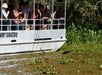 Adventures of Jean Lafitte Swamp Tour in Lafitte, LA