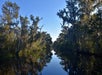 Adventures of Jean Lafitte Swamp Tour in Lafitte, LA