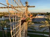 Person climbing a rope course outdoors, wearing a helmet and harness, with a sunny landscape and palm trees in the background.