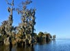 Airboat Adventures Swamp Tours - Lafitte, LA