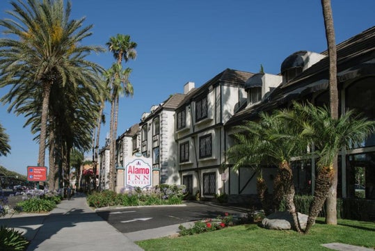 Exterior view of a hotel named Alamo Inn & Suites, surrounded by palm trees and a clear blue sky.