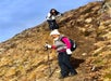 Hiker goes down an incline on the Alpine Classic Trek Hike