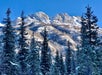 Skyline view of a mountain top in Alaska.