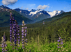 Enchanting mountain view from the resort.