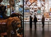 People looking all skeletons and taxidermied animals lining the walls at the American Museum of Natural History in NYC, New York.