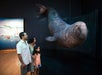Explore amazing marine life exhibits.