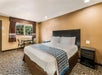 A hotel room with a queen bed two side tables, and a table with two chairs under a window on the front wall.