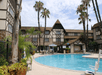 Outdoor pool with sun loungers.