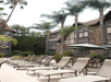 Sun loungers by the pool.