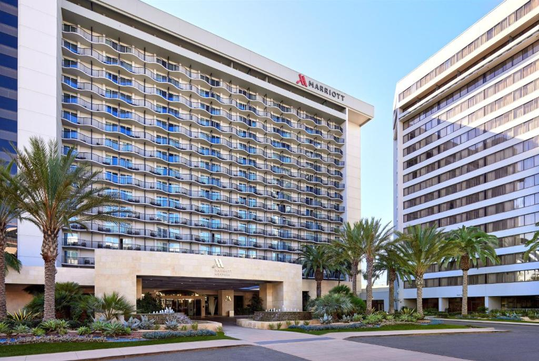 Exterior view of a modern multi-story hotel building with a prominent entrance, surrounded by palm trees and landscaped gardens.