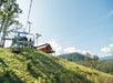 Take the scenic Chondola ride from downtown Gatlinburg to the summit of Anakeesta Mountain where you'll find spectacular Smoky Mountain views.