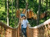 A group of people walk on a rope bridge through a forest canopy with wooden platforms among the trees on a sunny day.