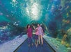 People walking through the Water Tunnel in the Aquarium at the Boardwalk in Branson, Missouri.