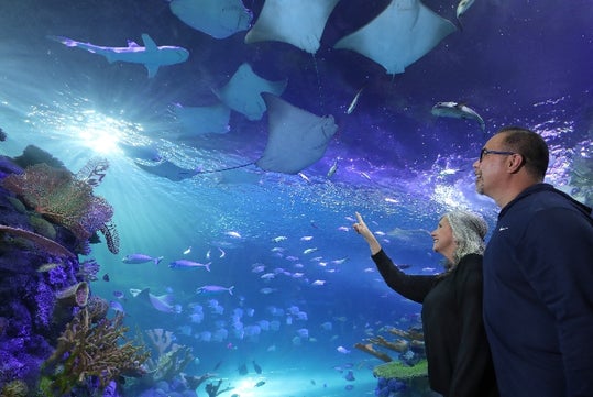 Two people at the Observation Station in the Aquarium at the Boardwalk in Branson, Missouri.