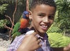 A photo of a young boy feeding a colorful Lorikeet on his shoulders at the Aquarium of the Pacific in Long Beach, California.