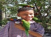 A young boy smiles for a photo while feeding several Lorikeets at the Aquarium of the Pacific in Long Beach, California