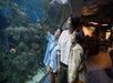 A woman and two children stand together looking at fish and marine life in a large aquarium exhibit.