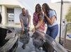 Four people observe and gently touch jellyfish in a shallow touch tank at an outdoor aquarium exhibit.