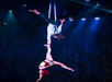 Two aerial performers are suspended in the air during a performance, with one hanging upside down, holding the other by the arm. The background features blue lighting and small spotlights.