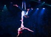 Two aerial performers suspended in the air; one is hanging upside down holding the other's arm against a backdrop of stage lights and a star-patterned curtain.