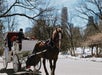 Art Inside and Out: Metropolitan Museum of Art and Central Park Skip-the-Line Guided Tour in New York, NY