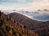 Autumn sunrise