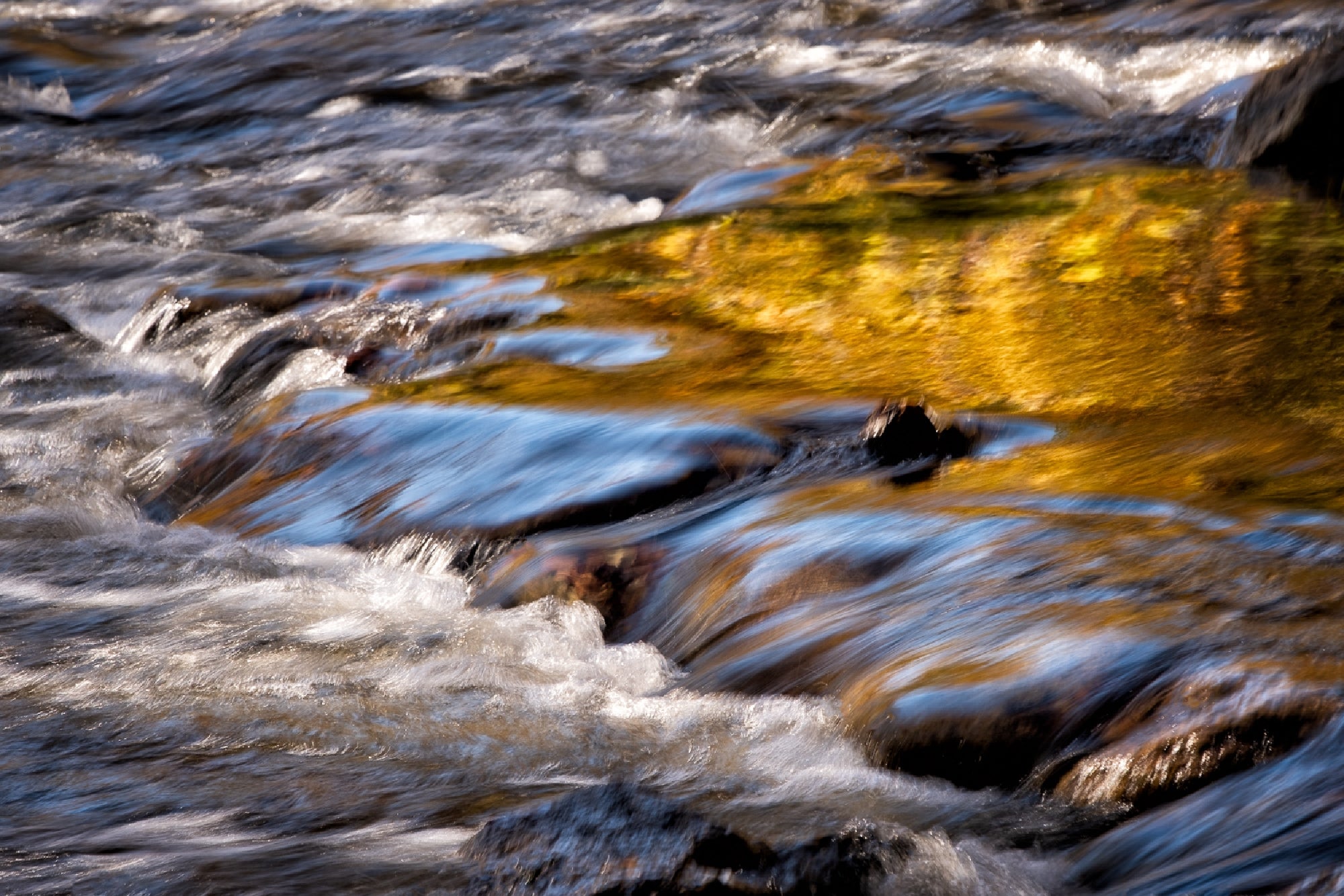 Close-up of water flowing over rocks in a stream, with golden-yellow reflections on the water's surface.